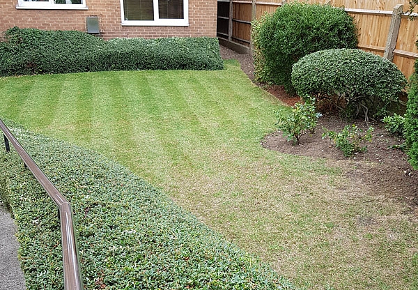 Leigh on Sea Flats 1